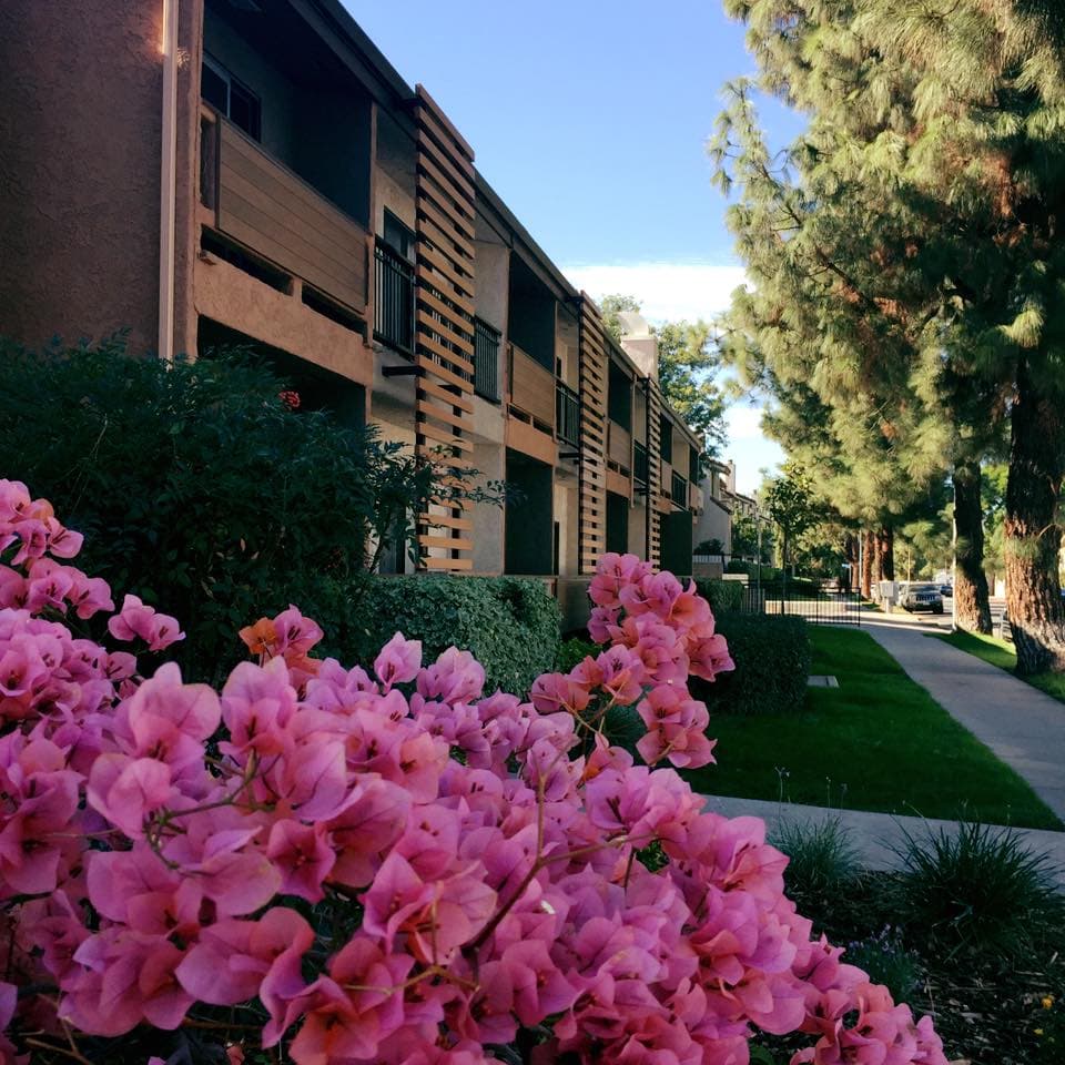 Canyon Trails at Topanga Senior Living