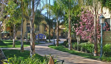 Hollenbeck Palms