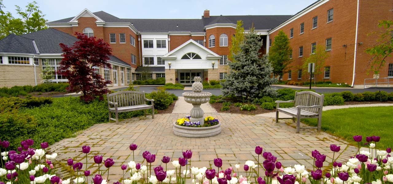 Beechwood
