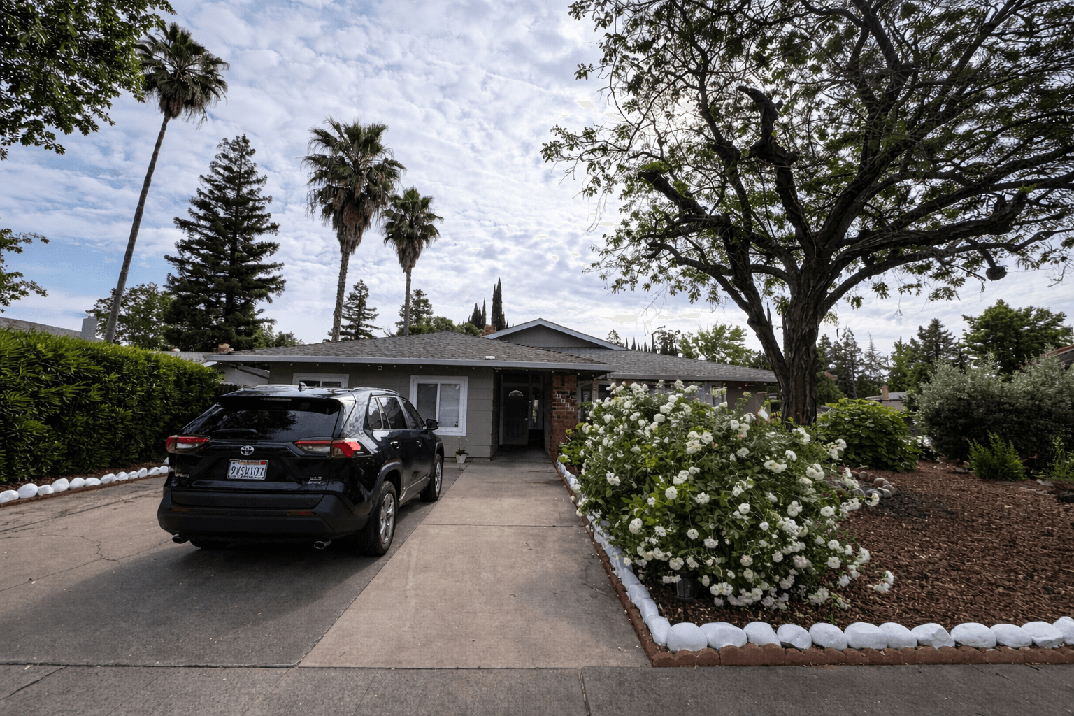 Cychelle's Care Home