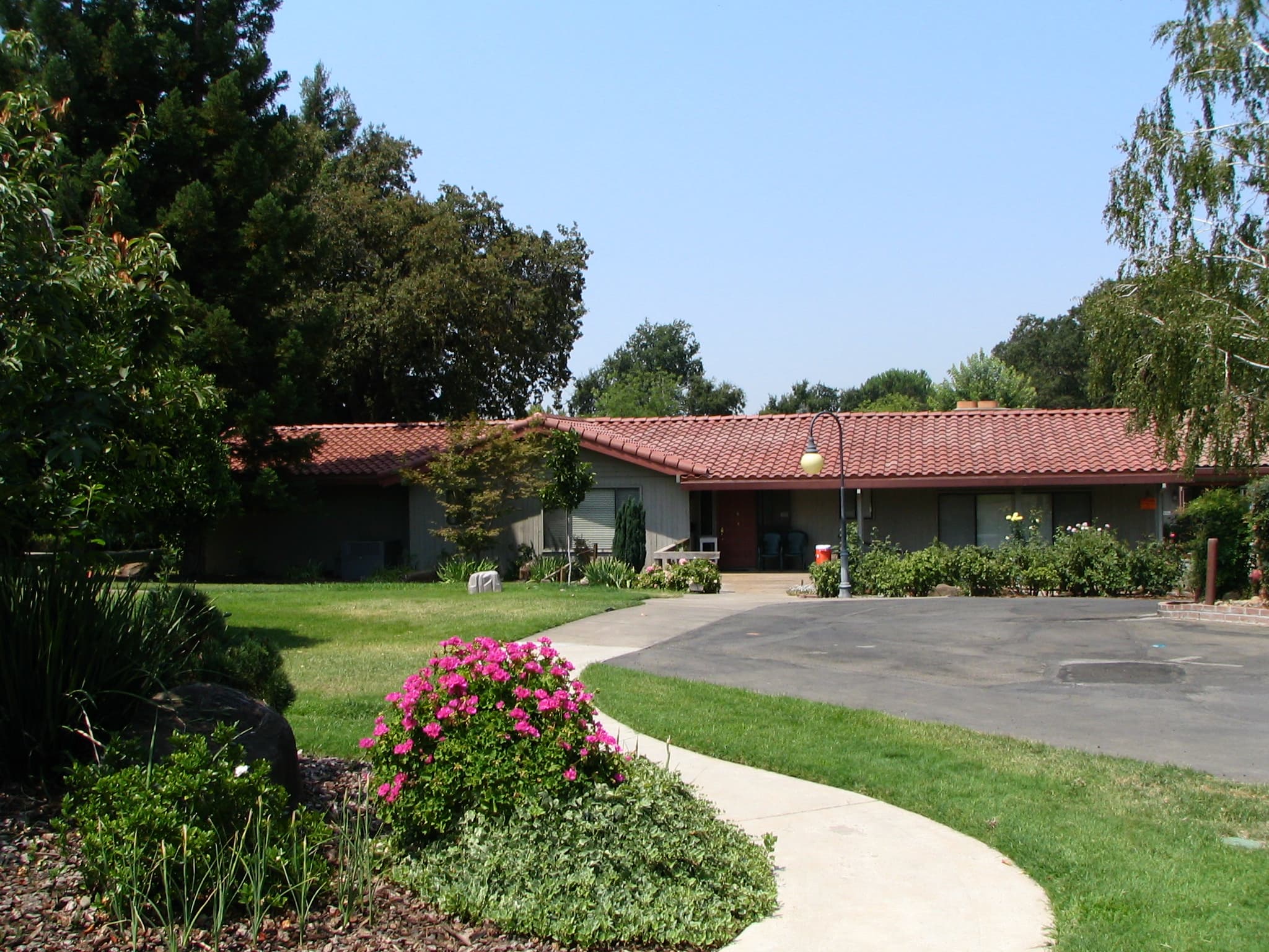 Olive Glen Foundation