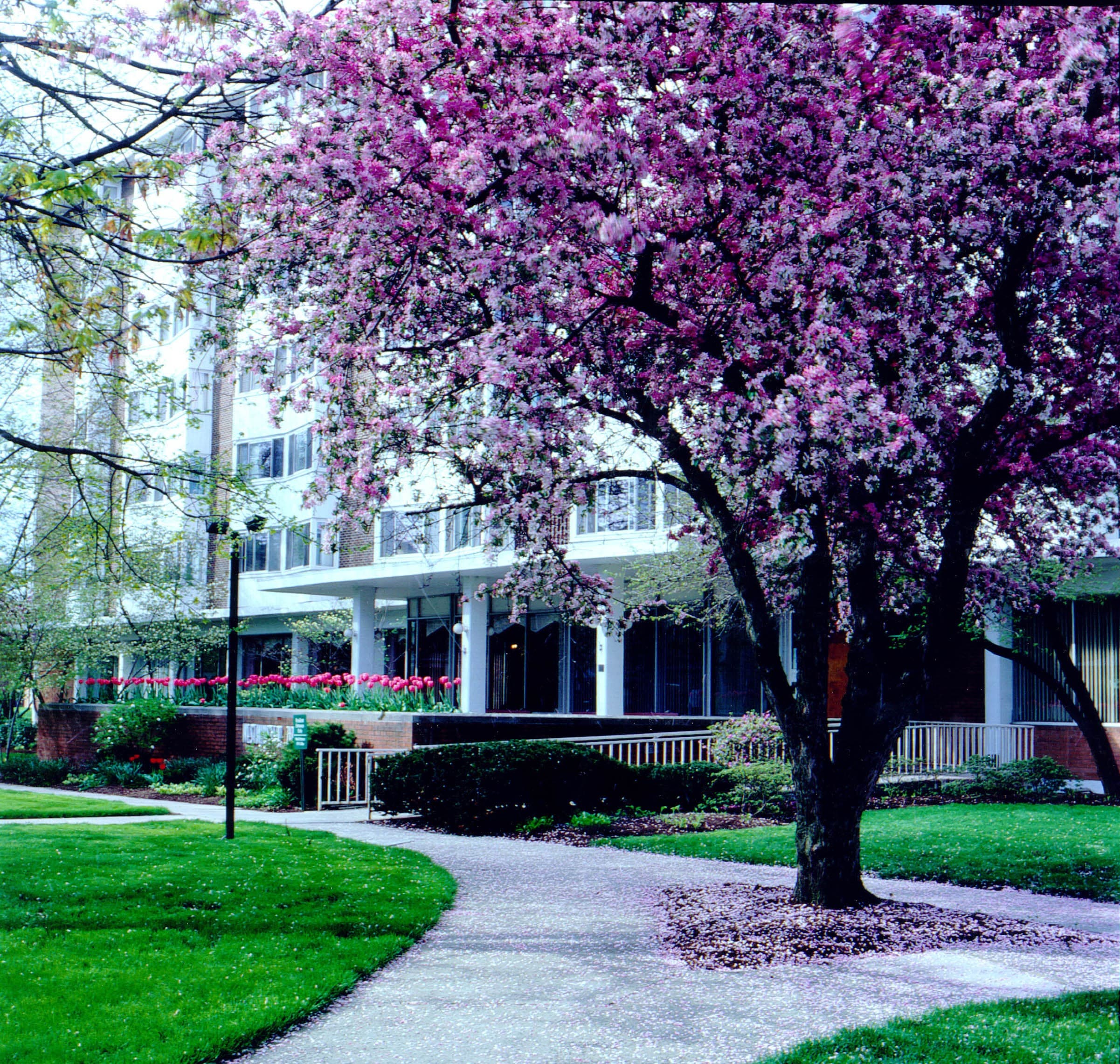 Rockynol Apartments
