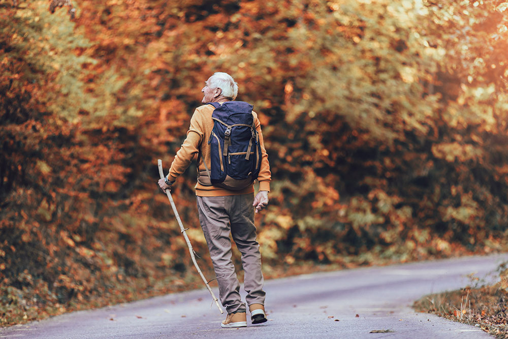 Senior man walking on rode with walking stick in fall taking a hike looking at the scenery